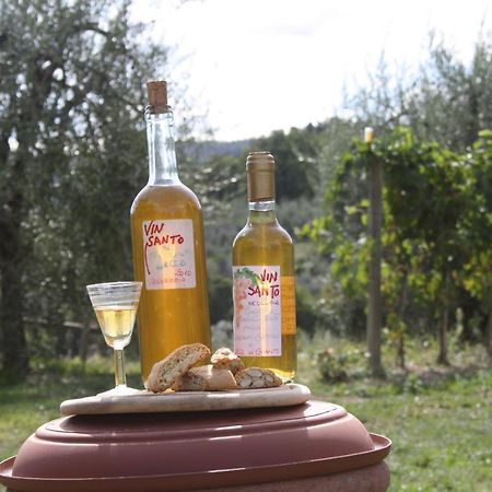 Agriturismo Podere Somigli Di Lorenzo Correani 호텔 그레베 인 키안티 외부 사진